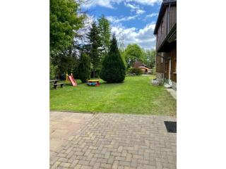 Chaffinch in the Tanneneck house - Hohegeiß - 1