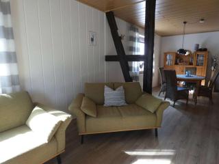 Chaffinch in the Tanneneck house - 8