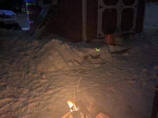 White Mountains New Hampshire Deer Bear Retreat - 2