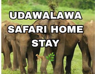 Udawalawa safari home stay - 0