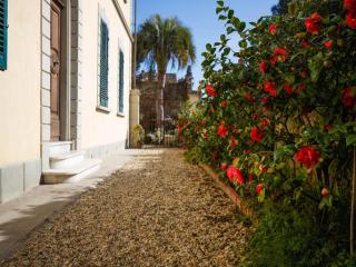 Apartment in Lucca near Villa Bottini Gardens - 2