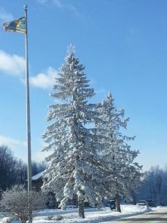 Chalet renovated Near Casino, Camelback , Kalahari 4bdrms firepit hot tub game room - 9