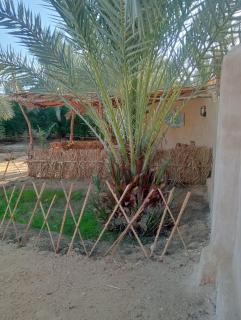 Siwa Spot - Peaceful stay for 2 adults or a group of 4 - 9