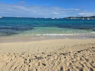 Beach Front Apartment - Baie Nettlé - 5