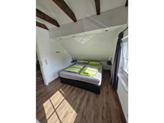 woolly prospects - 7