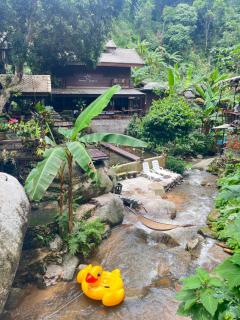 บ้านป้อหลวงแม่หลวง แม่กำปอง Baanporluangmaeluang Maekampong - 6