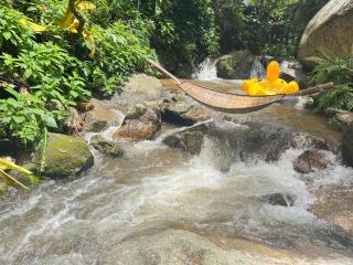 บ้านป้อหลวงแม่หลวง แม่กำปอง Baanporluangmaeluang Maekampong - 9