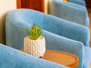 Hotel Boutique Circasiana Palace - 2