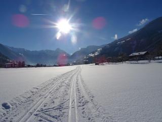 Holiday apartment Alpenrose in Huaterhof - 2