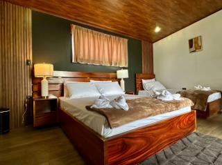 Villa Oropéndola Sarapiquí - 9