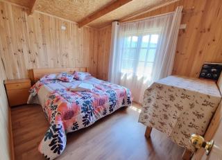 Cabaña Alto Puelo - 1