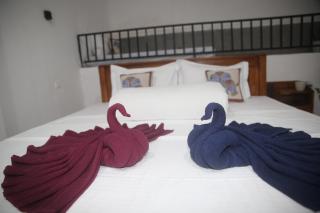 Hill Glow Stay Ella - 6