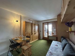 Studio Montagnard 2-3 Pers, Balcon, Parking - FR-1-330D-153 - 4