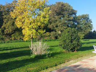 Fermette 3 étoiles, proche du Mans, jusqu'à 14 personnes - FR-1-410-488 - 5