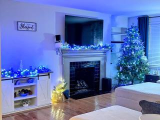 Cozy Holiday Themed 2 Bedroom Pet Friendly - 7