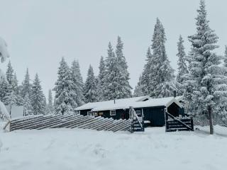 Cabin With Ski Inout Near Gribbe, Valdres - 0