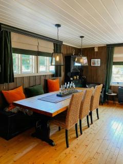 Cabin With Ski Inout Near Gribbe, Valdres - 8