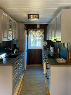 Cabin With Ski Inout Near Gribbe, Valdres - 6