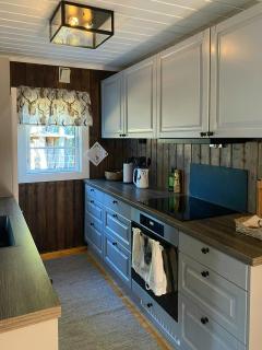 Cabin With Ski Inout Near Gribbe, Valdres - 5