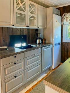 Cabin With Ski Inout Near Gribbe, Valdres - 4