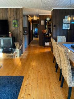 Cabin With Ski Inout Near Gribbe, Valdres - 2