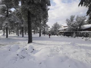 גן עדן באופק - הבית! - 0