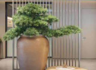 JI Hotel Shanghai Xinzhuang Business District - 6