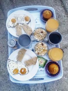 Tiny house au pied du Vercors - 7