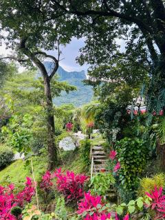 Hotel Villa La Fortuna - 6