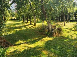 Holiday Home Tomislav - 9