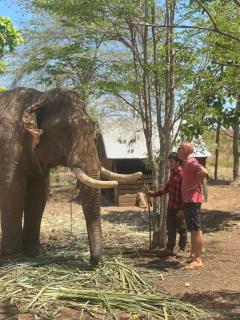 Twelve107 Farmstay - 3