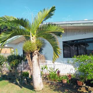 Ouahea lodge, 2 maisons proches de l'aéroport - 5