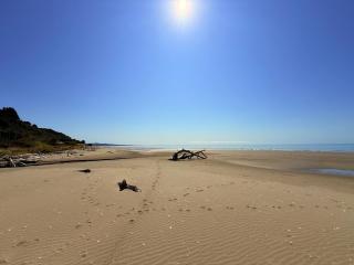 Pā Tōrea - The Red Shed - Collingwood - 7