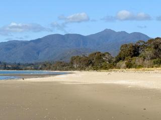 Pā Tōrea - The Red Shed - 2