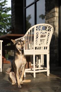 Serene Reach Villa - 6