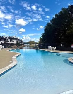 The Cove at Lake Hamilton - 7