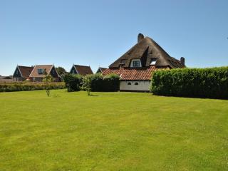 Lovely Holiday Home in Texel near Sea - 7