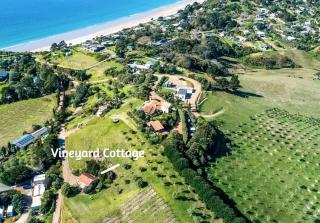 The Vineyard Cottage - Stay Waiheke - 1