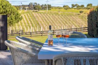 Oneroa Vines and Views- Stay Waiheke - 3