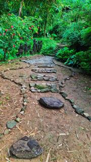 Gorubathan Forest Retreat - 4