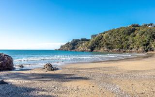 Aqua Sands #1 - Stay Waiheke - 1