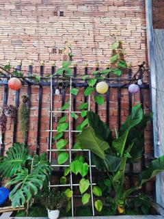 Home Người Đà Lạt - 8