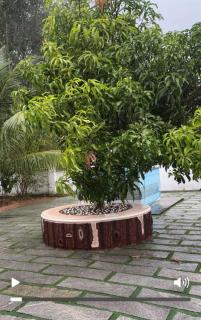 Luxury Villa 3BHK with Maid option for Family Stay or Vacation - Tāmarakulam - 3