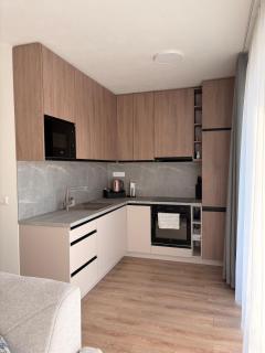 Sekvoja view apartment - 1