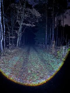 Apartment mitten im Wald - 4