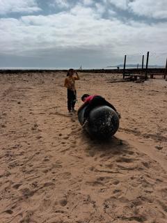 Cabaña Hacieda Bahía Tongoy - 1