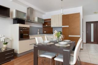 Spacious Apartment with Underground Parking and Terrace by Noclegi Renters - Kattowitz - 3