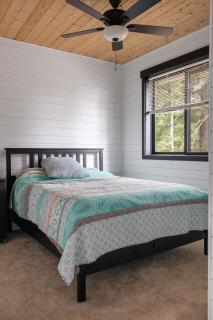 The Treasure Trove - A Dog-Friendly Gem - 2