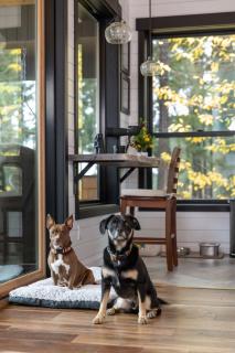 The Treasure Trove - A Dog-Friendly Gem - 1