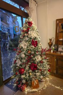 Hotel Dandy Rouen centre - 2